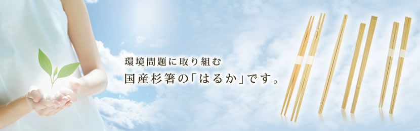 環境問題に取り組む国産杉箸の「はるか」です。