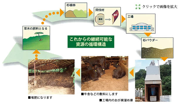 これからの継続可能な資源の循環構造(クリックで画像を拡大)